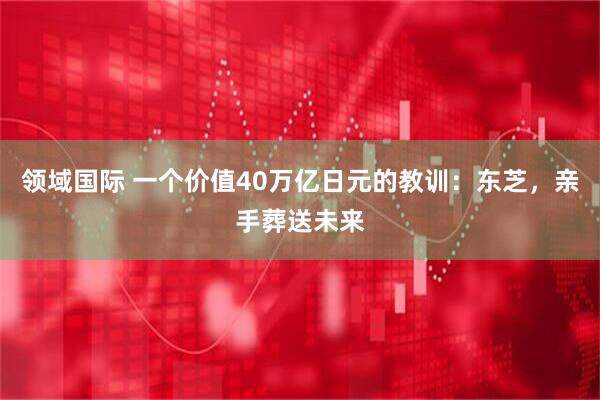 领域国际 一个价值40万亿日元的教训：东芝，亲手葬送未来